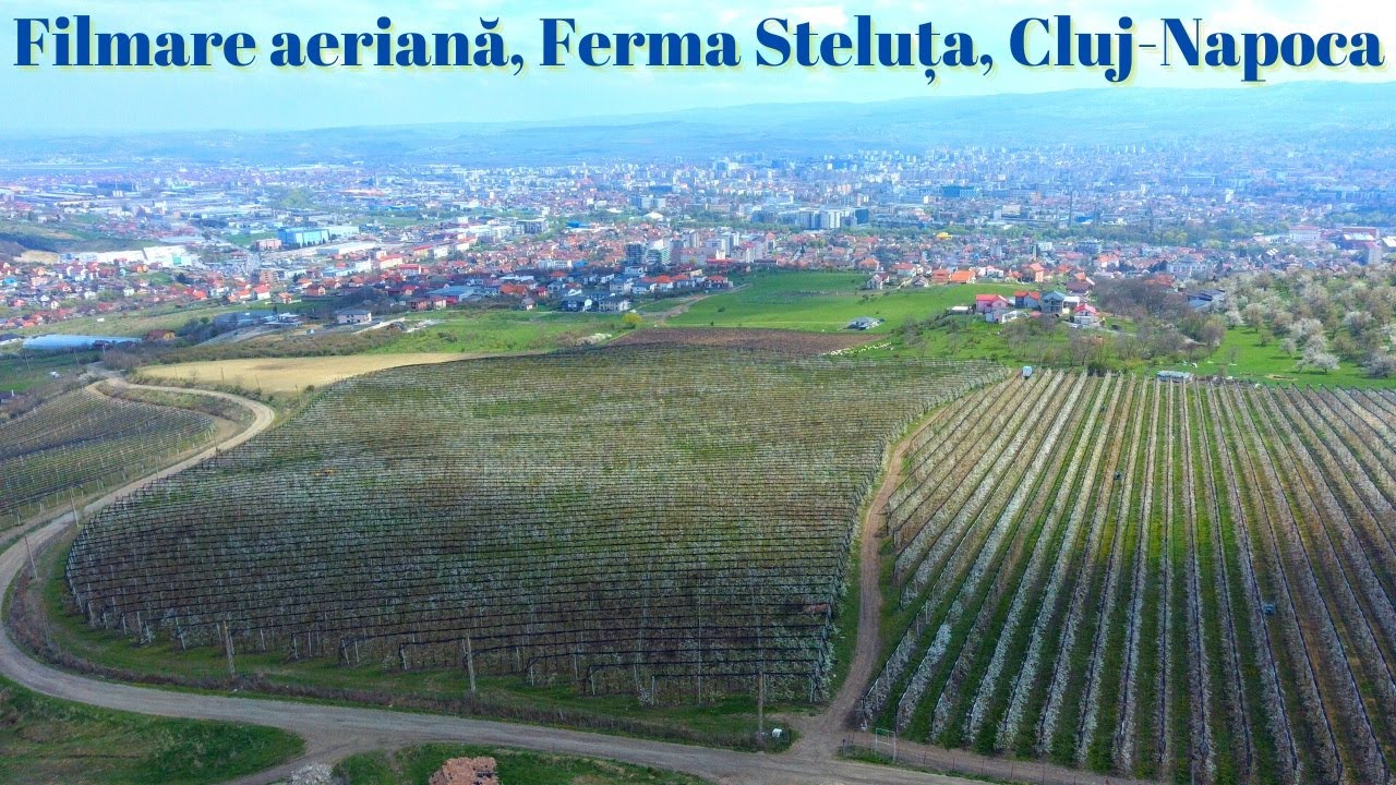 Filmare aeriană, Ferma Steluța, Cluj-Napoca