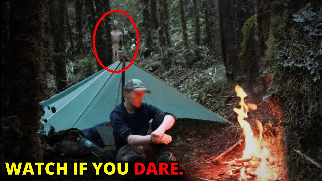 30 SCARIEST Creature Encounters Caught In The Woods | Scary Comp V138