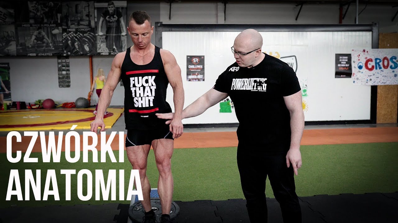 JAK ROZBUDOWAĆ UDA? ANATOMIA CZWÓREK