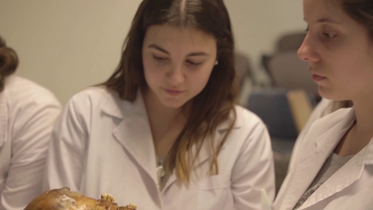 Medicina - UCA