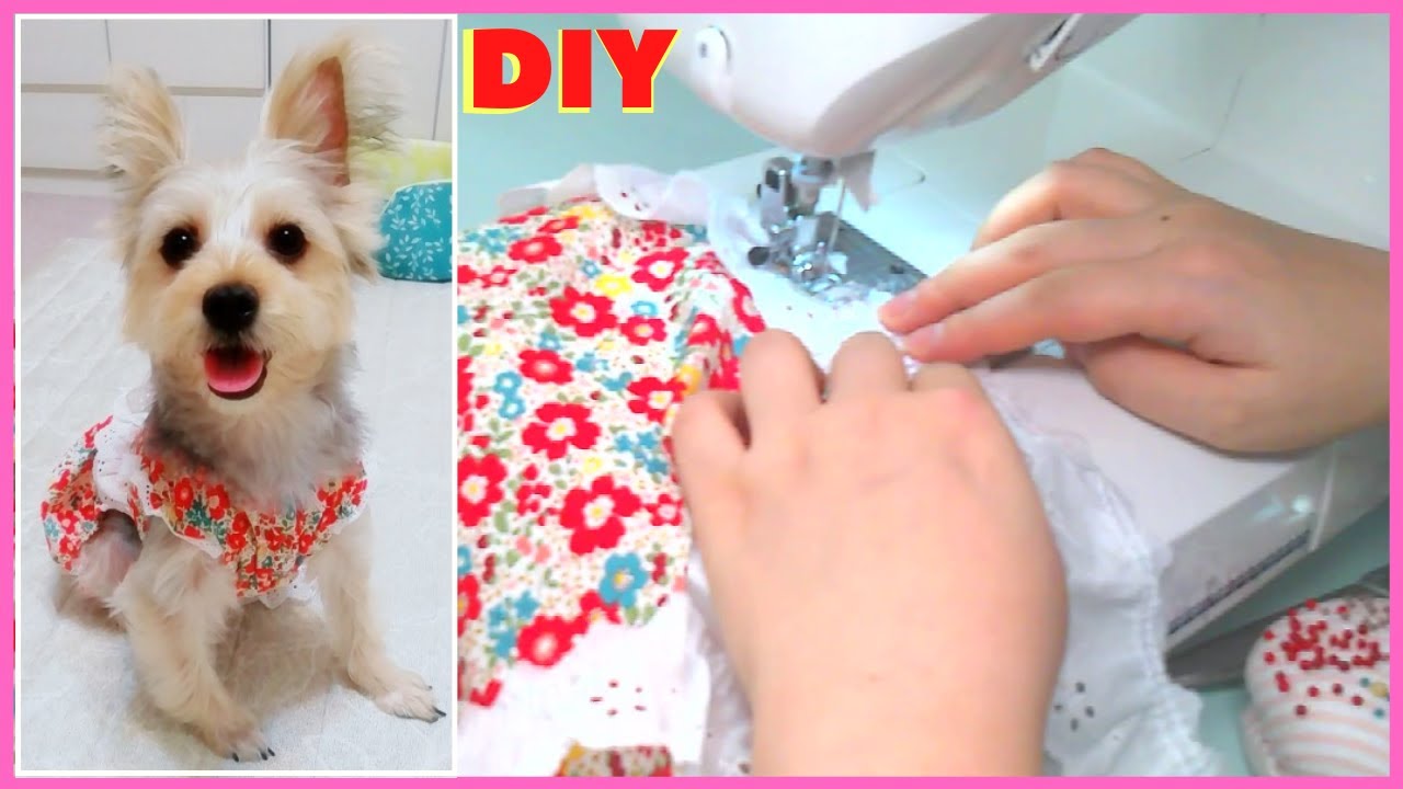 DIY|犬の服|犬オールインワン作成|犬の服|강아지올인원만들기|강아지옷 만들기|簡単な犬の服を作る|Make Dog Clothes|YouTube|愛犬オールインワン#0004[