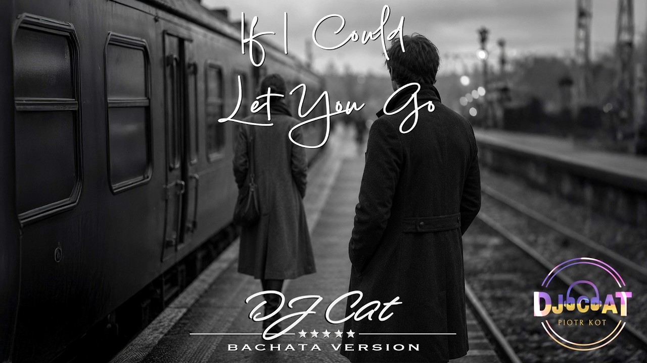 DJ Cat -  If I Could Let You Go (Bachata Version)