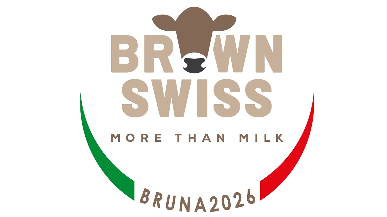 International Brown Swiss Show 2026