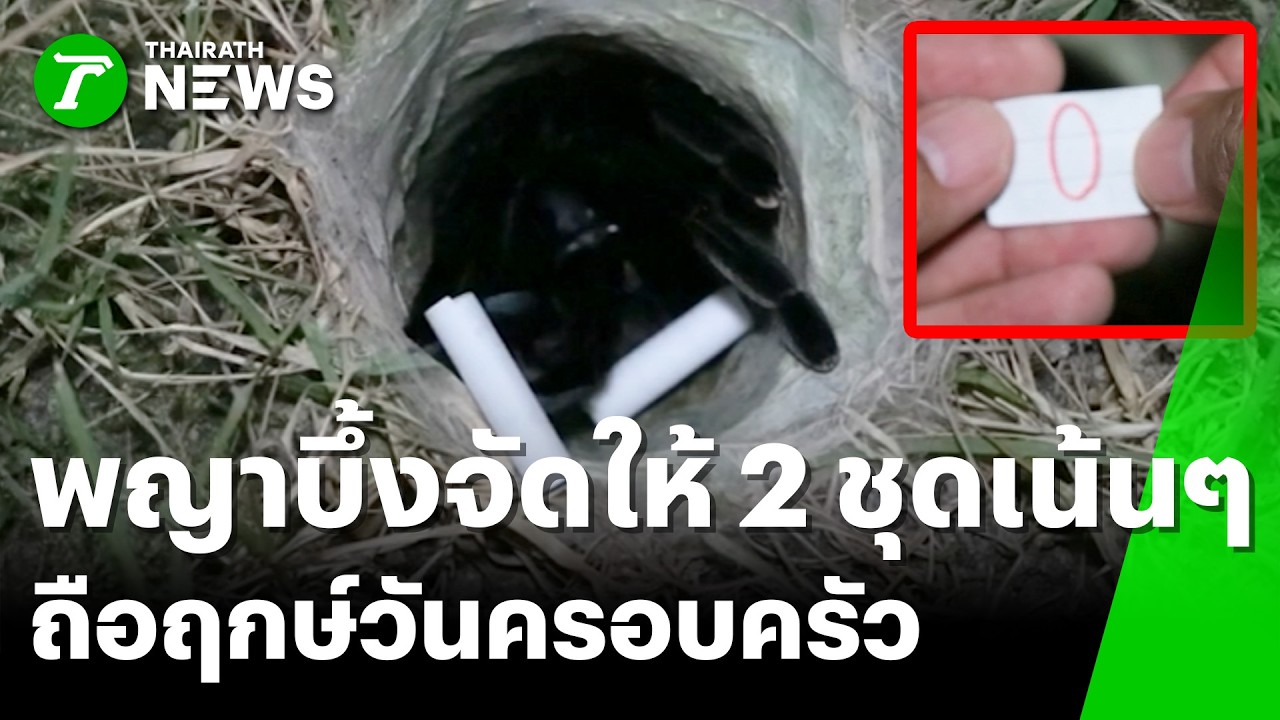 มาตามนัด! พญาบึ้งแม่ลูกอ่อนจัดให้ 2 ชุดเน้นๆ ถือฤกษ์วันครอบครัว | 15 เม.ย. 69 | ห้องข่าวหัวเขียว