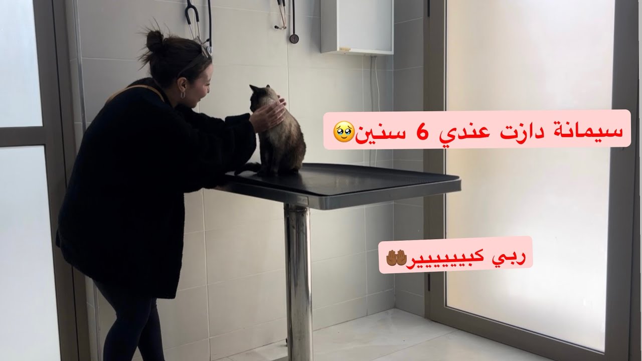 ربي كبيييير 🤲🏾🥹دزت عليا حمد لله على كل حال