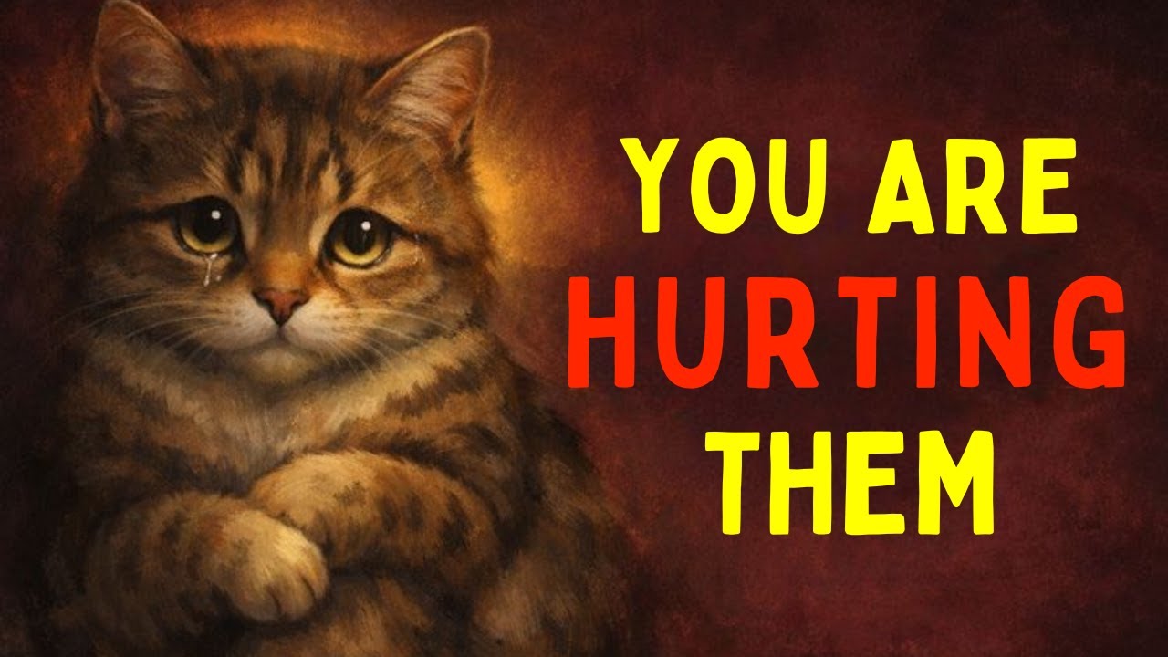 Cat owners, are you doing these 22 things that BREAK THEIR HEART daily?