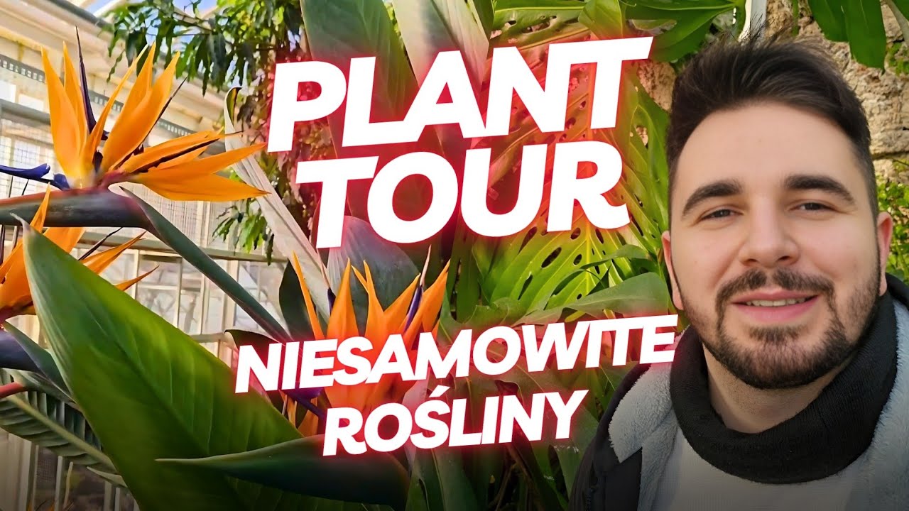 PLANT TOUR / PALMIARNIA / SKLEP Z ROŚLINAMI