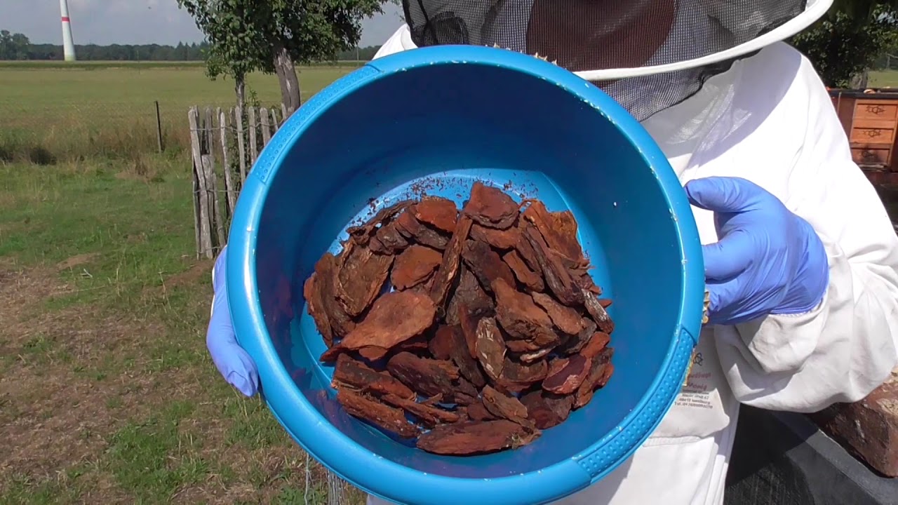 Bienen Imkerei, Varroabehandlung der Völker.