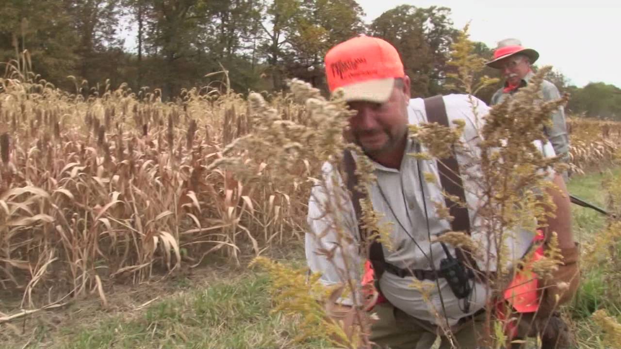 Wingshooting USA, эпизод 78 «Бобс рулит!»