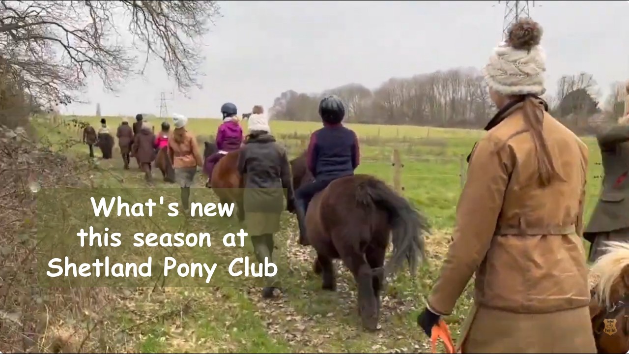 What's new this season at the Shetland Pony Ranch: TV Episode 585