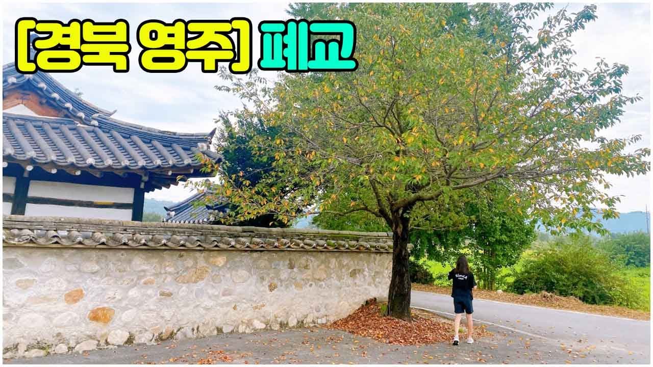 [경북 영주]빈집 & 폐교(매매된 삼가분교장) #빈집 #폐교 #폐가 #시골집 #촌집 #유휴시설 #산좋고물좋은 #경치좋은 #인구감소지역 #청량산 #빈집활용 #폐교활용
