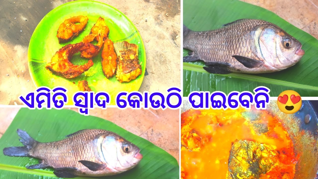 ଗାଁ ଶୈଳୀ ରେ ଜିଅନ୍ତା ଭାକୁର ଝୋଳ,ପୁରା ଆତ୍ମା ଶାନ୍ତି ହୋଇଗଲା 😋||odia fish recipe 