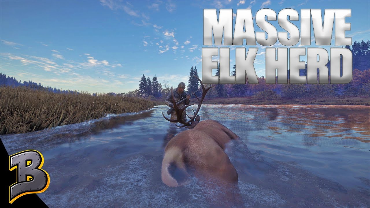 Massive Elk Herds! Stampede! theHunter: Call of the Wild
