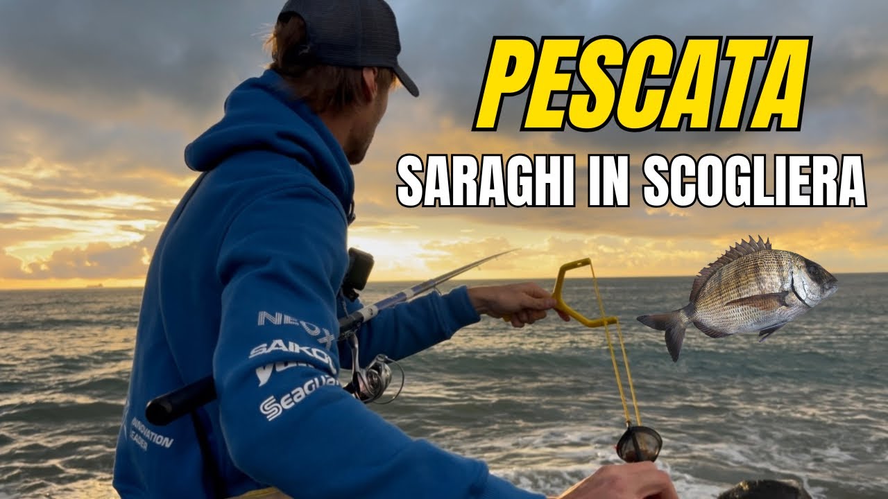 PESCA A BOLOGNESE NELLA SCHIUMA 