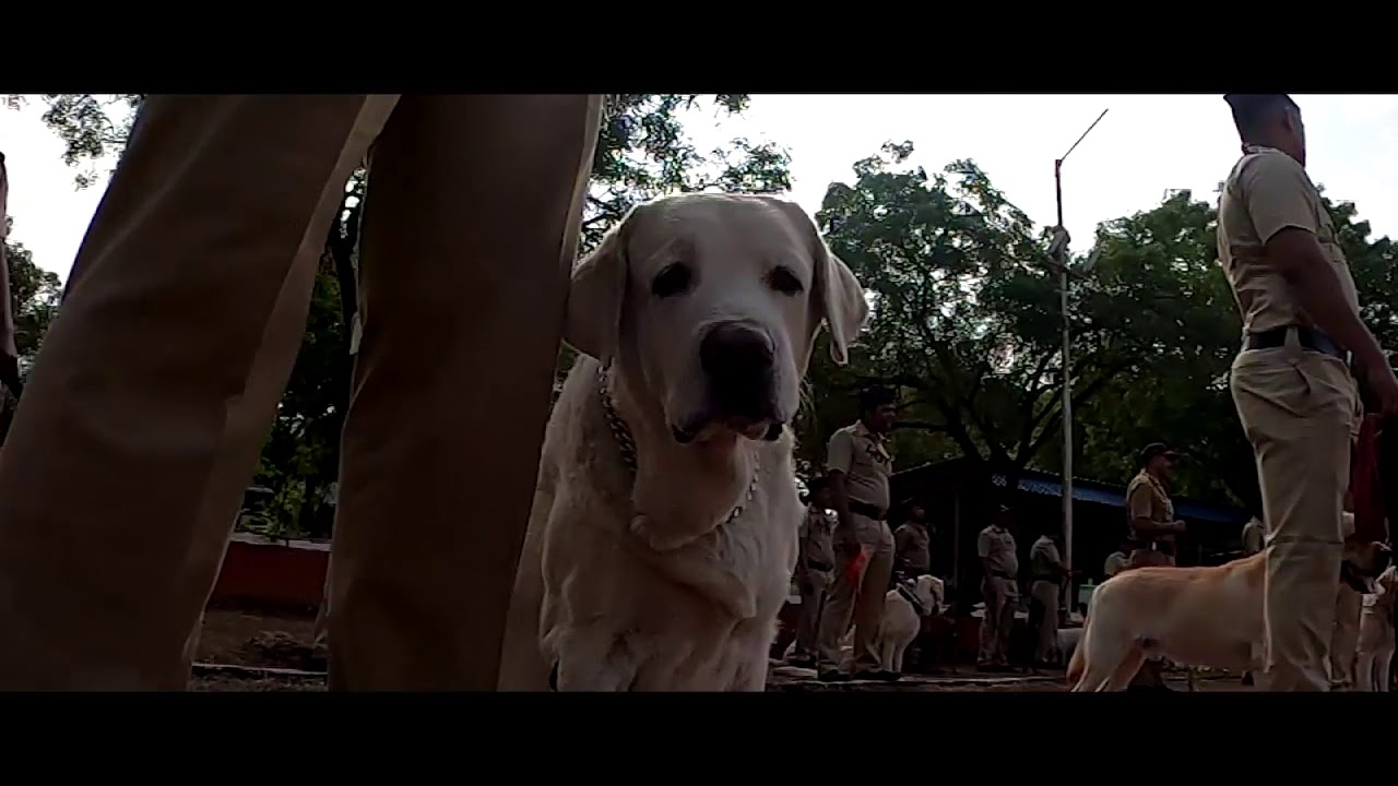 2 days with Maharashtra police dog squad...