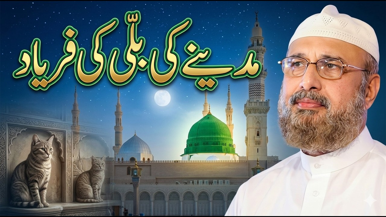 Madina Ki Billi 🐱 Ka Waqia | Umer Faiz Qadri 😢 Emotional Bayan 📖