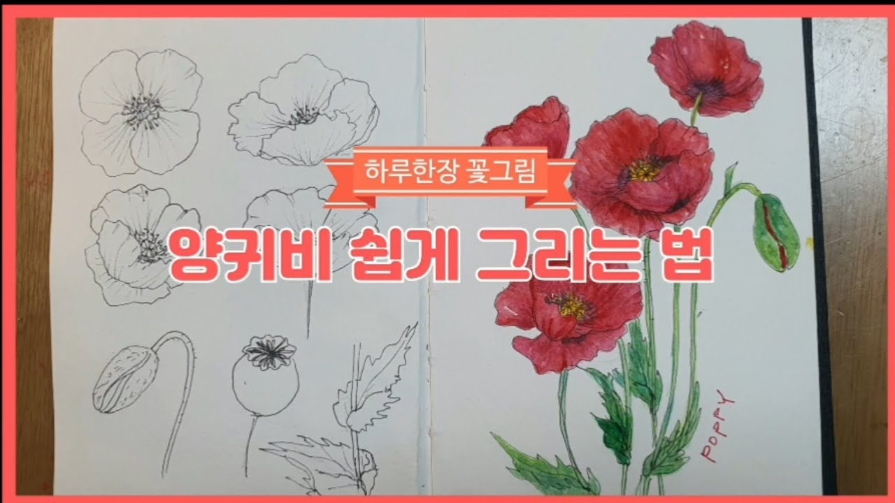 왕초보를 위한 꽃그림 쉽게 그리는법 #양귀비꽃 그리기 #권태기탈출법 #나다움 # #왕초보꽃그리기 #꽃그림 #탄생화 #탄생화그리기