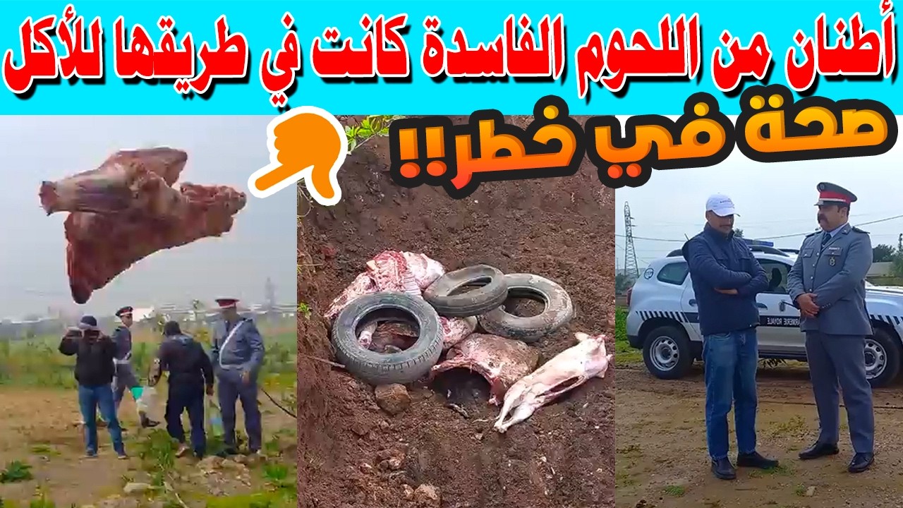 صدمة رمضان! الدرك الملكي يحجز 5 أطنان من اللحوم الفاسدة في بوسكورة ويعتقل 3 متورطين – تفاصيل صادمة!