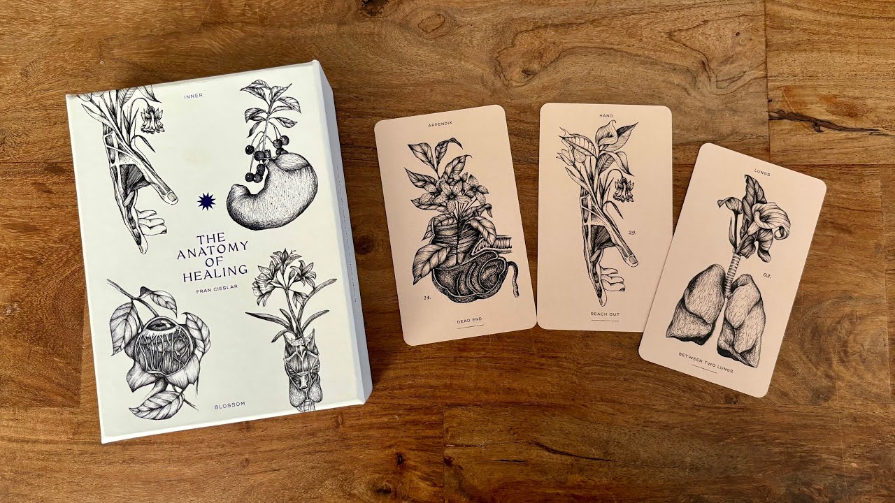 Anatomy of Healing 🌱🫁 Review ✨