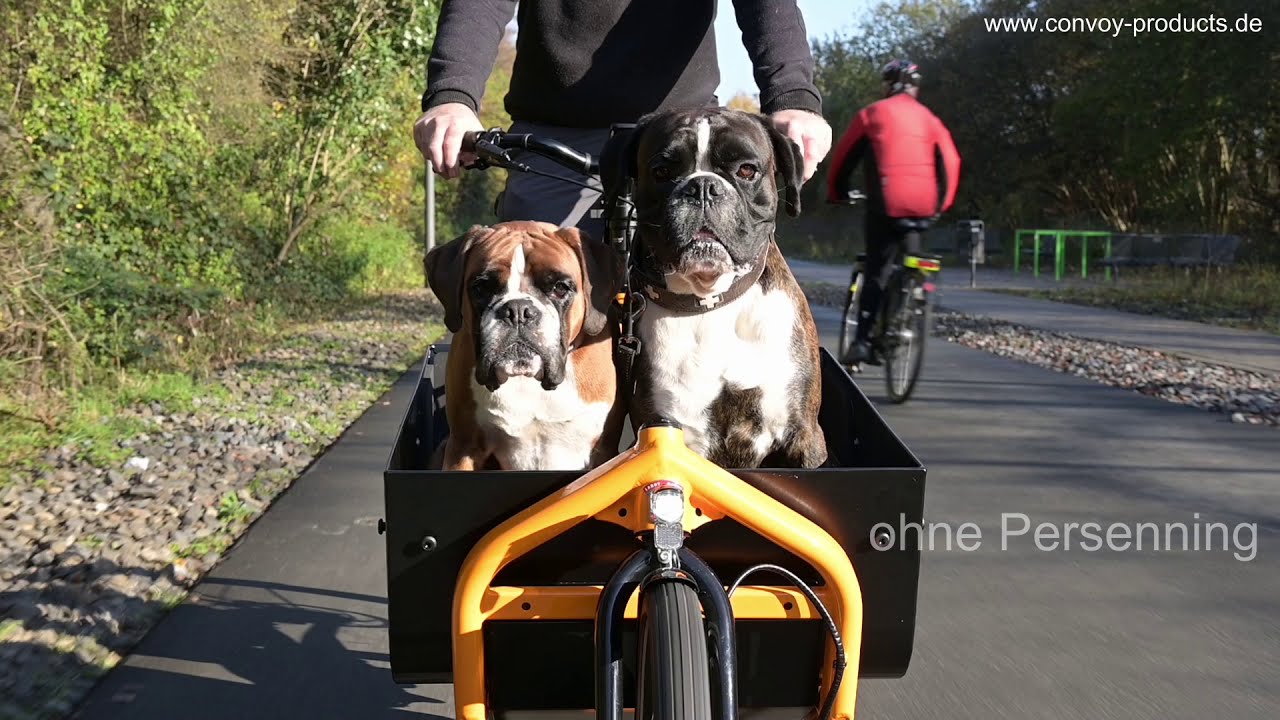 Convoy-Products.de Evo Box - Die vielseitige Transportlösung fürs BULLITT