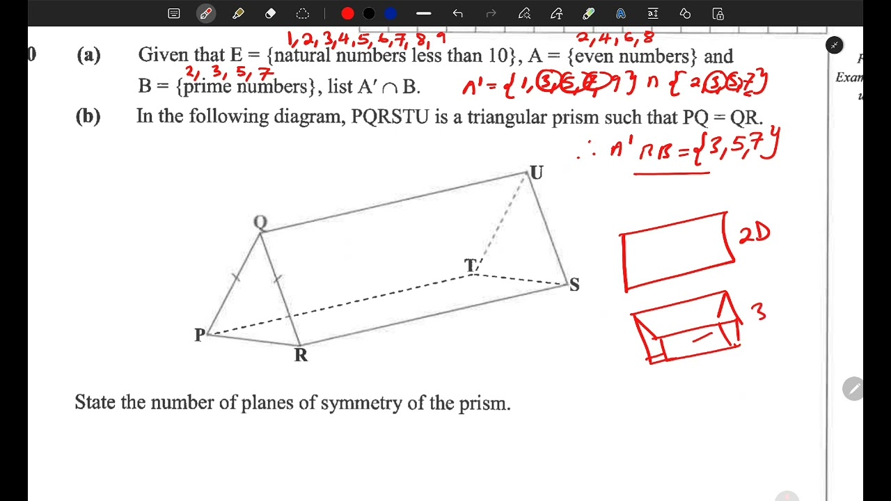 MATHS: Sets and Plane of Symmetry G12, 2024 internal