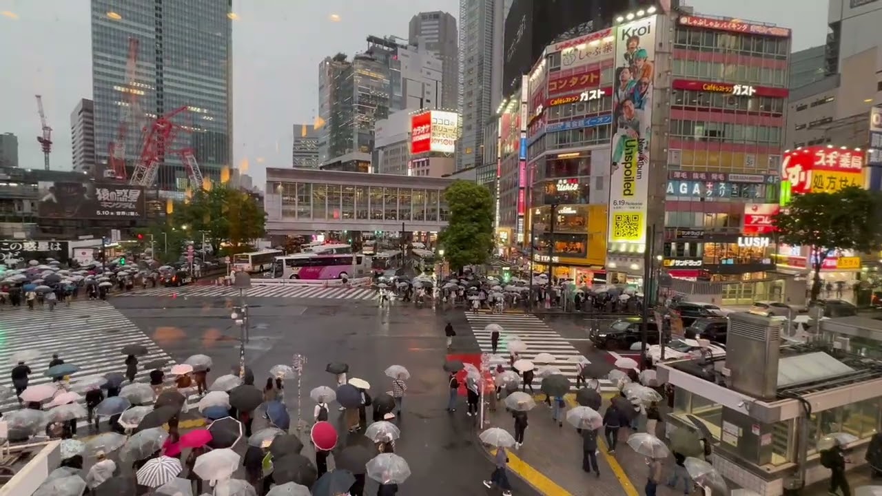 Shibuya Crossing 🇯🇵 | The World’s Busiest Intersection!