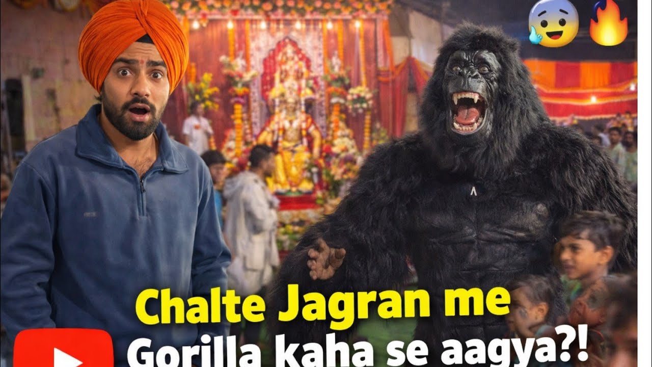पानीपत के जागरण में दिखाई दिया गोरिल्ला 😮 देखिए Live #panipat #gorillatag #gorilla #viral #comedy 