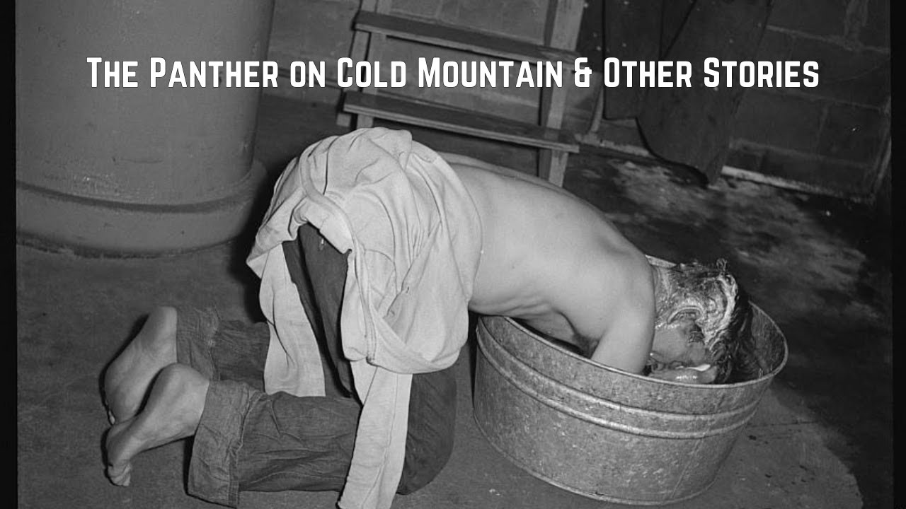Weekly Bath in the Washtub - The Panther on Cold Mountain & Other Stories 9