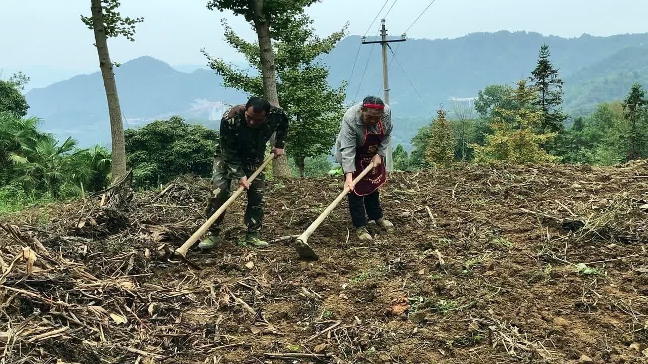 在贵州山里养猪种菜，这样的田园生活，你喜欢吗？