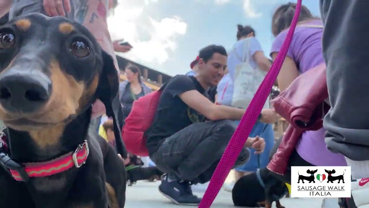 Sausage Walk Milano 2024