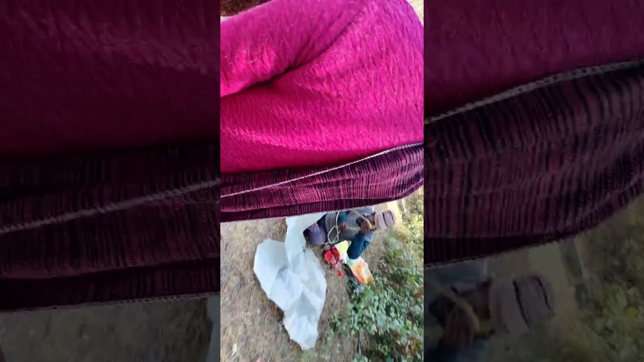 Ham Sabhi log Gaye Mela dekhne