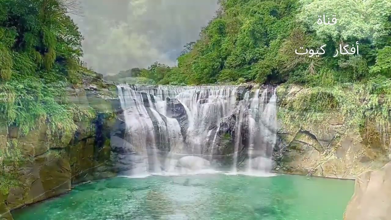 سورة البقرة كاملة #أفكار_كيوت