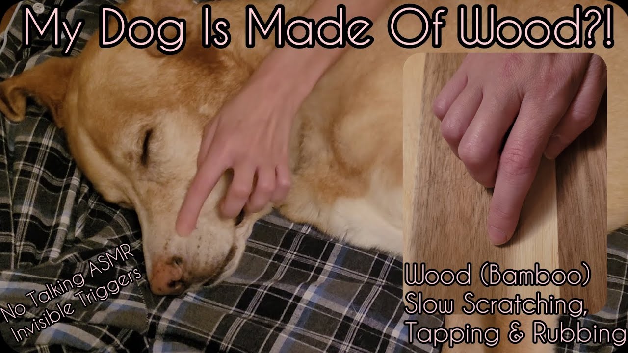 ASMR | My Dog Is Made Of Wood? | Bamboo Scratching-Tapping-Rubbing | Invisible Triggers | NO TALKING