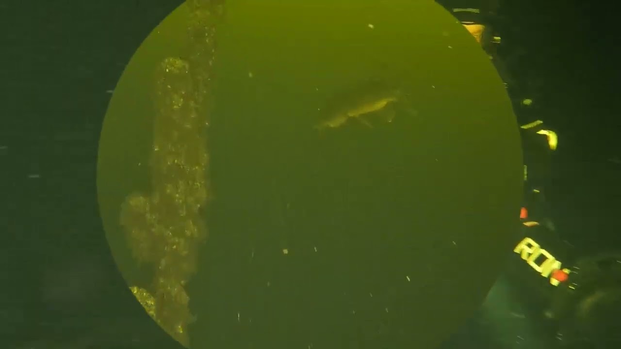 Duiken Vinkeveen Eiland 4 wrakken en een mooie snoek!