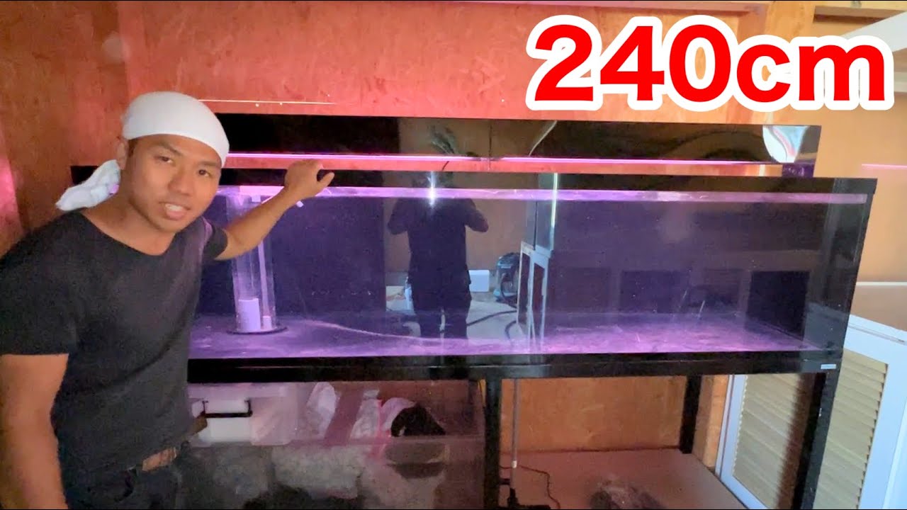 昆虫館に２４０ｃｍの巨大水槽をセッティングしました