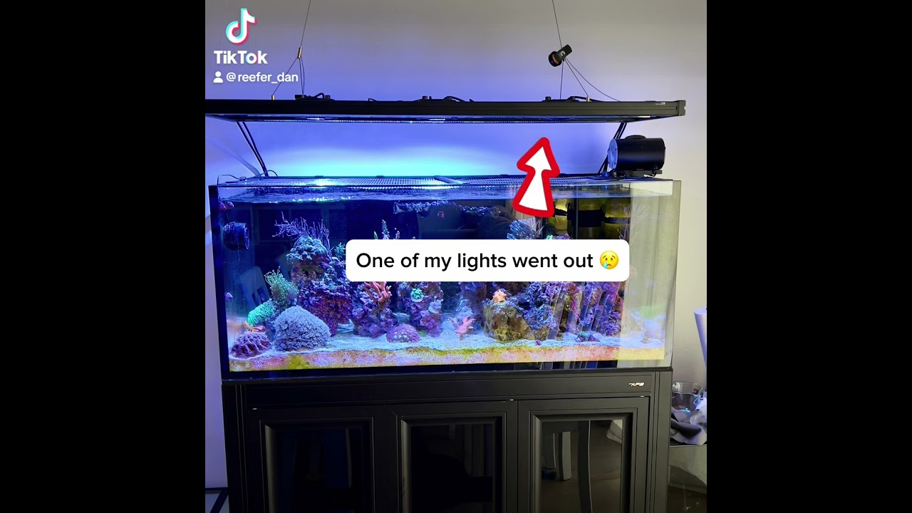 Aquarium light went out on my 100 gallon fish and coral reef tank