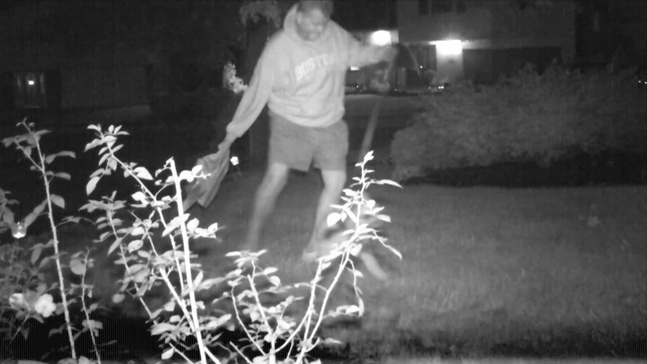 Local academic admits to stealing Trump campaign signs