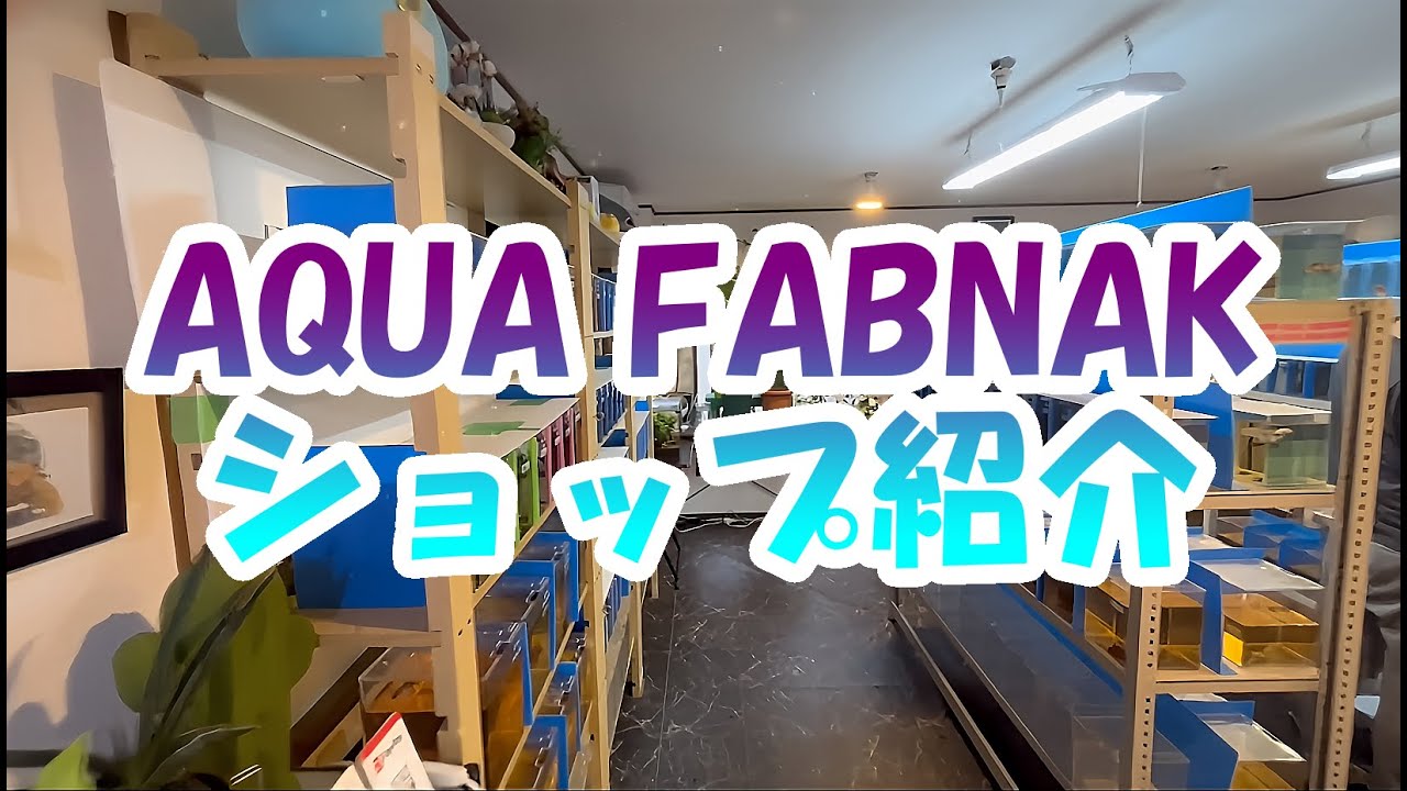 最寄り駅から道順とショップ紹介
