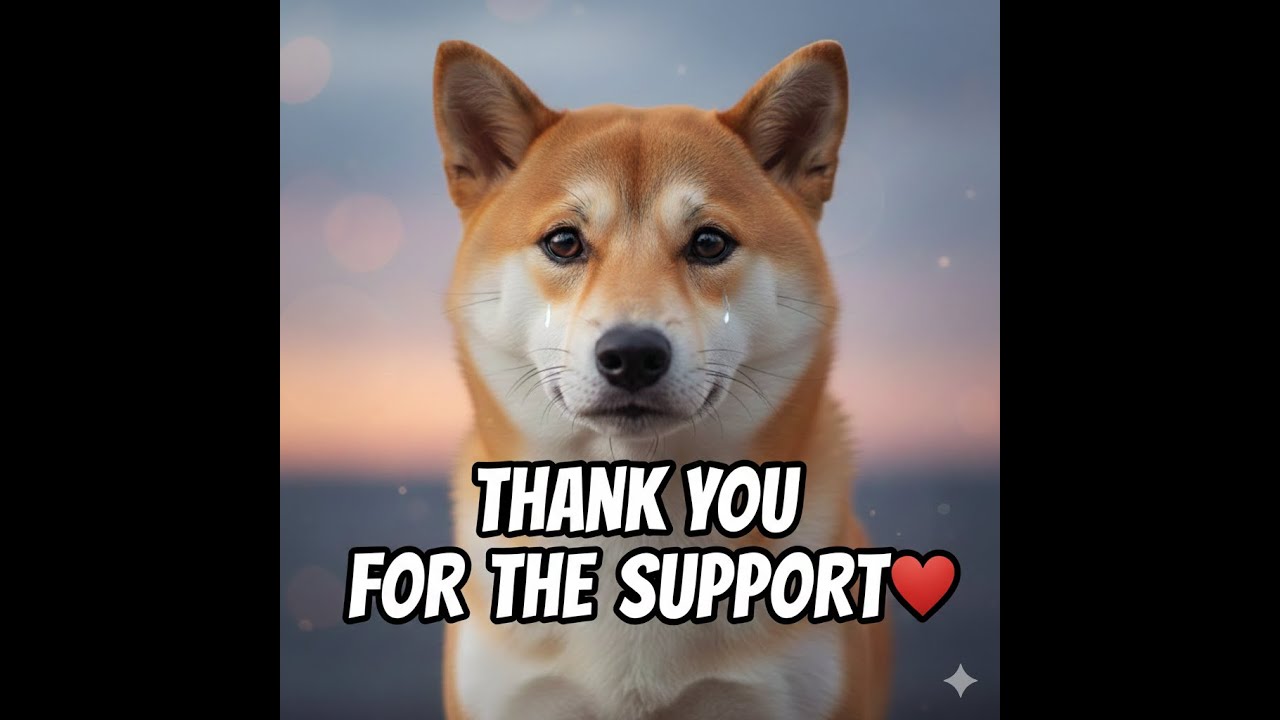 Thank u vid