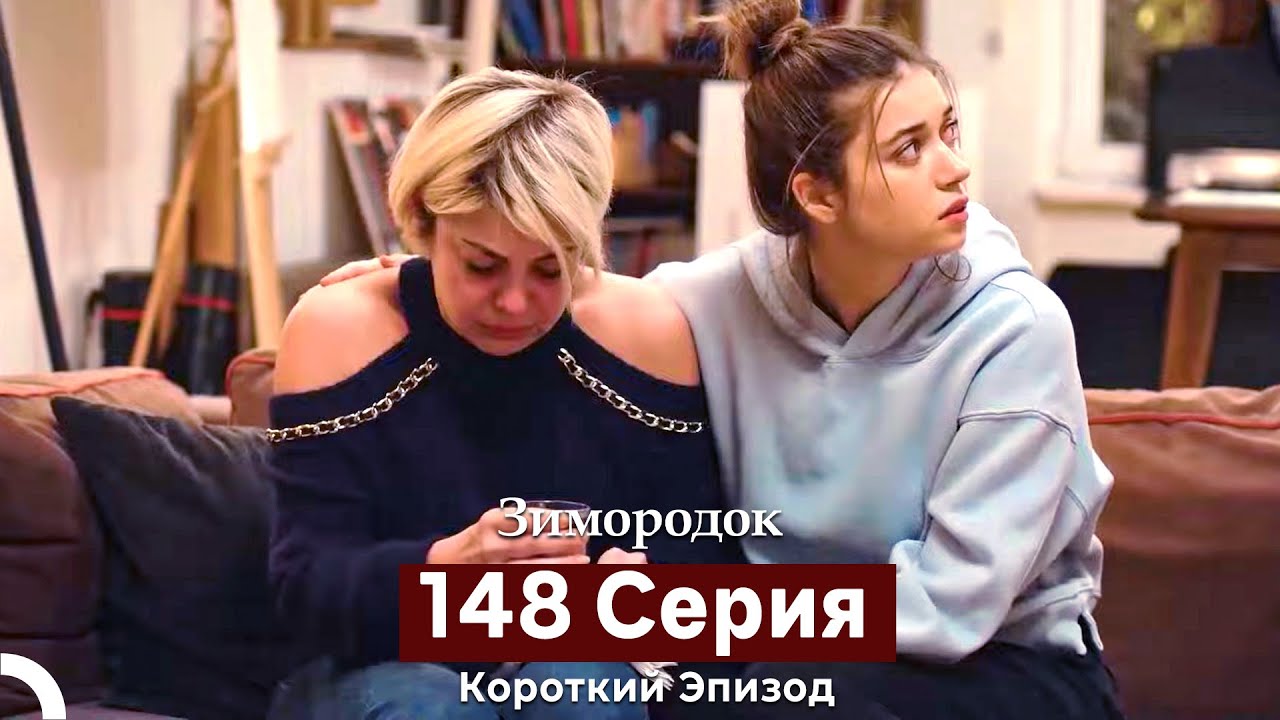 Зимородок 148 Cерия (Короткий Эпизод) (Русский дубляж)