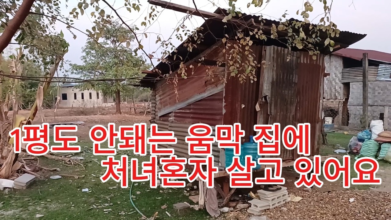 ep143 1평도 안되는 움막에서 라오스처녀가 혼자 살아요
