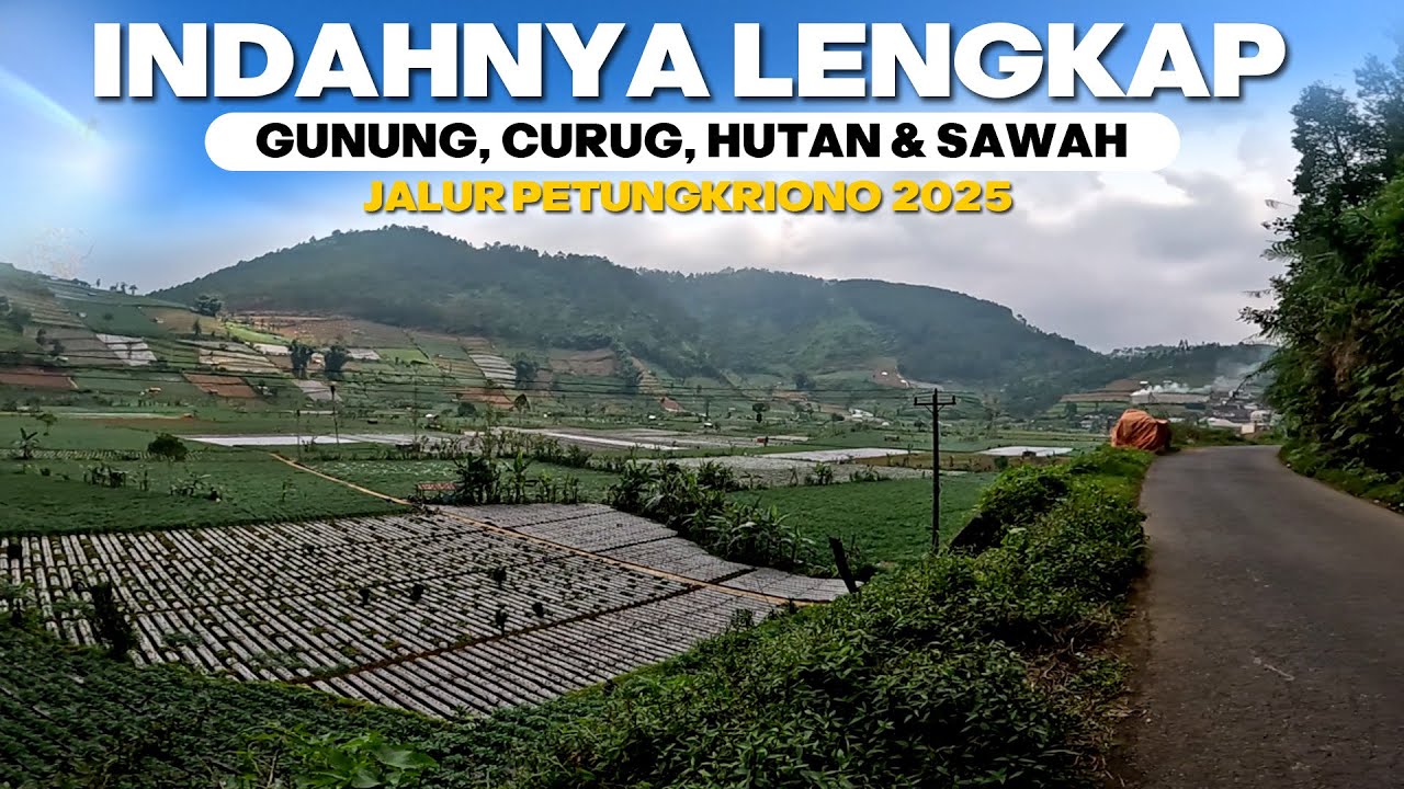 Dijamin Melek Pemandangan Paling Lengkap Gunung Curug Hutan Sawah ada disini