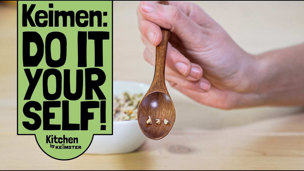 Getreide einfach selbst zu Hause ankeimen! I Schritt-für-Schritt-Anleitung und Risiken vermeiden!