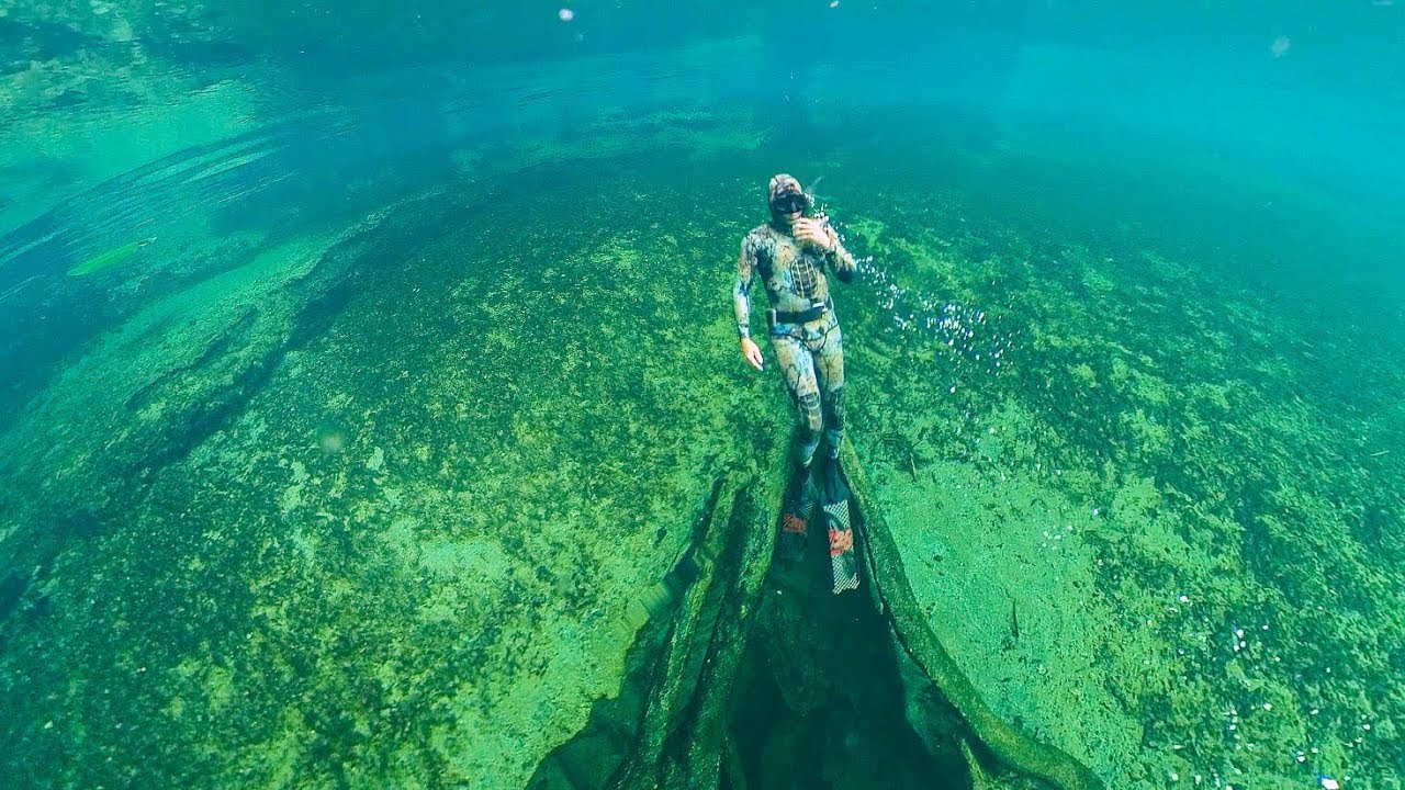 Snorkeling Freediving  at Blue Spring State Park