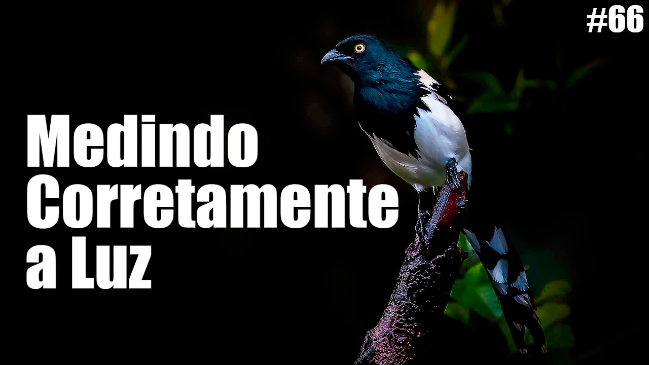 Medindo Corretamente a Luz
