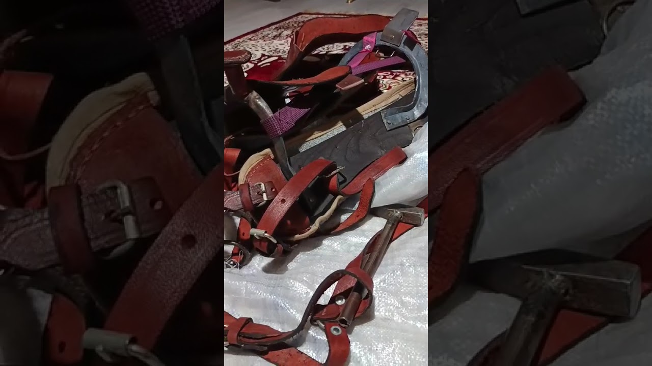 At eyeri tamiri S&uuml;vari eyeri yapımı