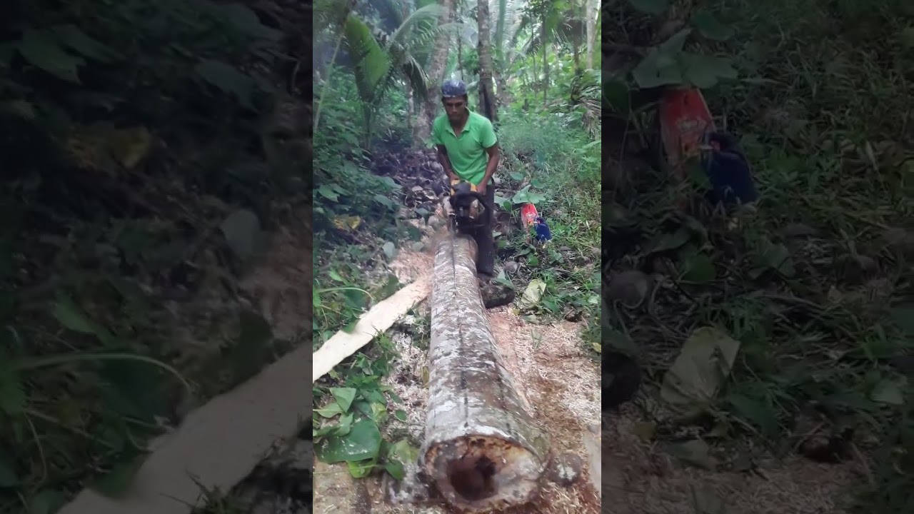 birada ko 2x4x7