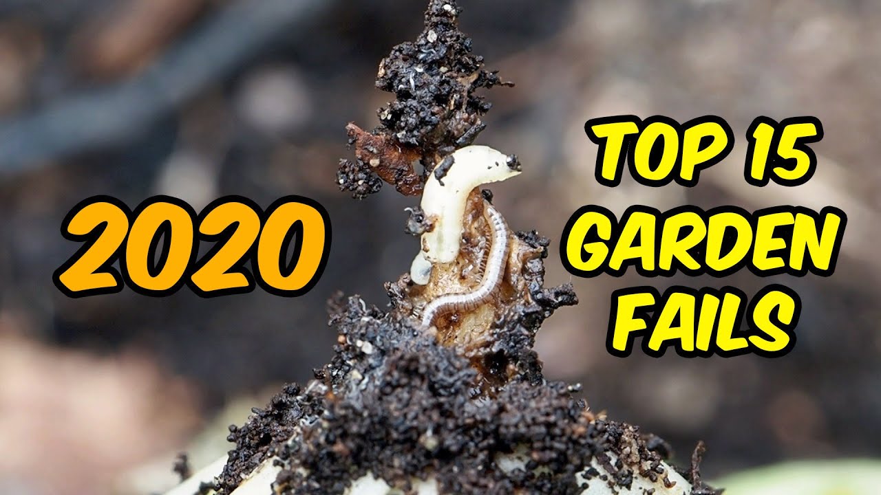 Top 15 Garden Fails of 2020