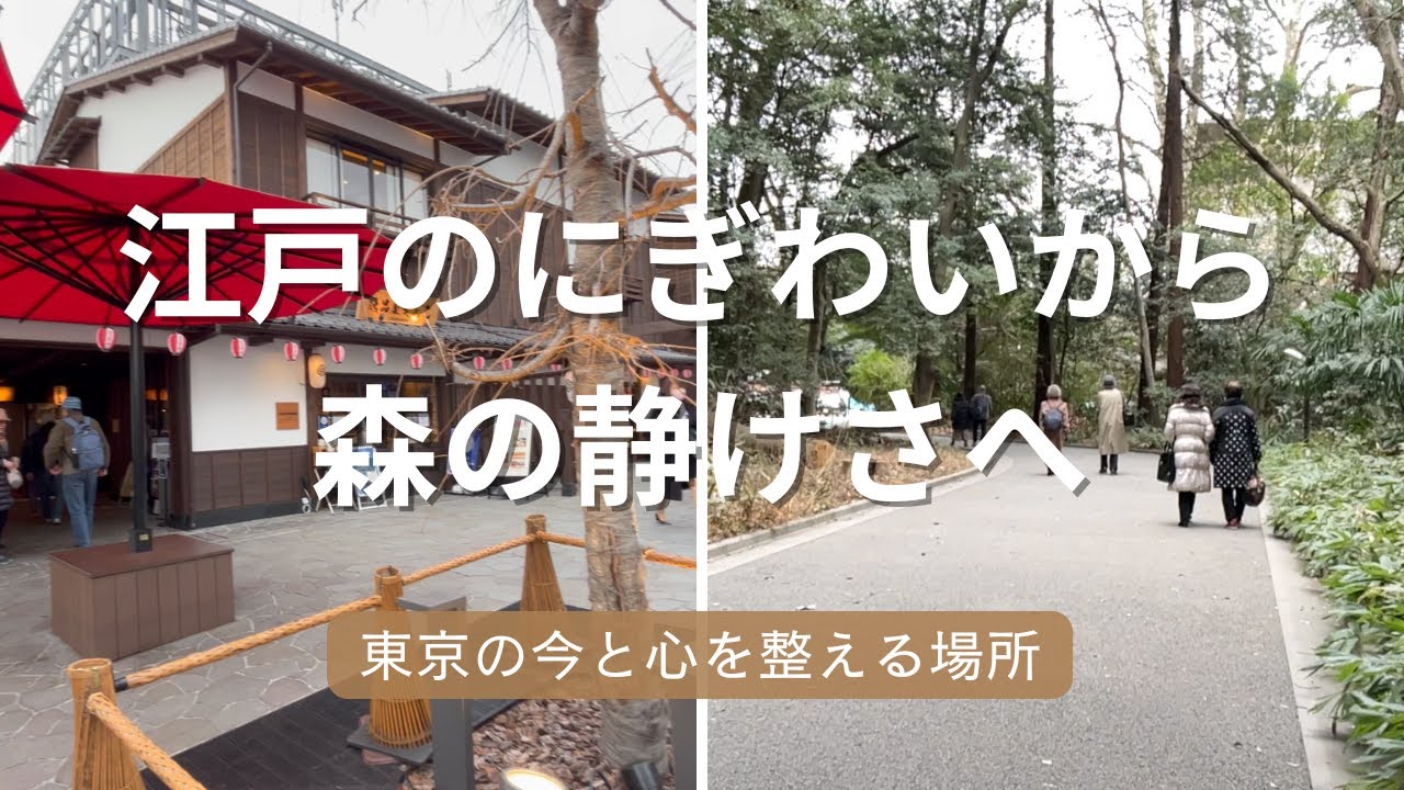 豊洲千客万来と明治神宮 東京二景を散歩