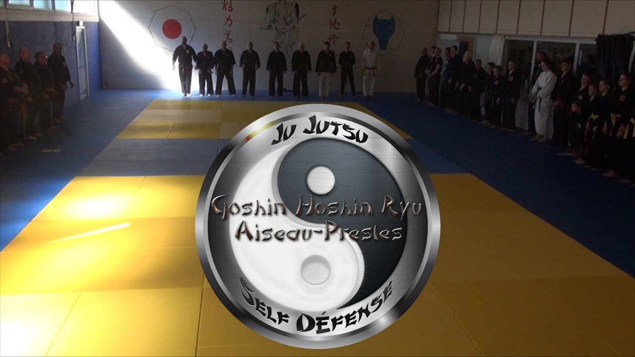 stage  multi discipline Goshin Hoshin Ryu Aiseau Presles 2017